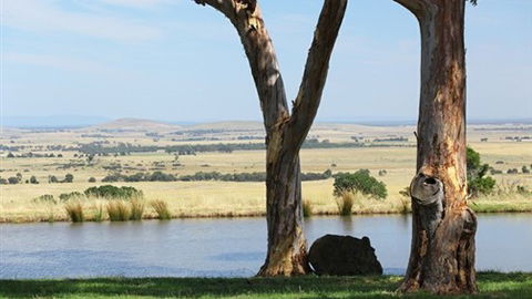 Tuki Trout Farm And Retreat - Accommodation Mt Buller 3