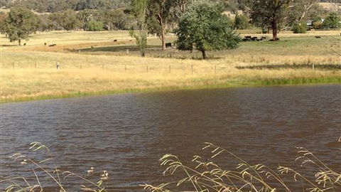Black Horse Park - Accommodation Mt Buller 4