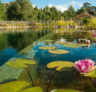Planetrees Estate  - Accommodation Mt Buller