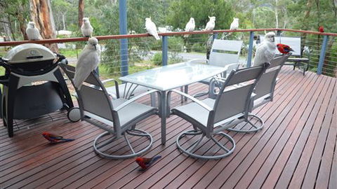 Blue Ridge Retreat - Accommodation Mt Buller 2