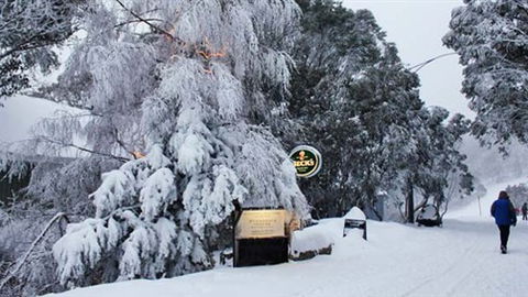 Feathertop Alpine Lodge - Accommodation Mt Buller 0