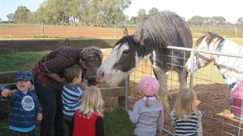 Cabarita Lodge - Accommodation Mt Buller 4