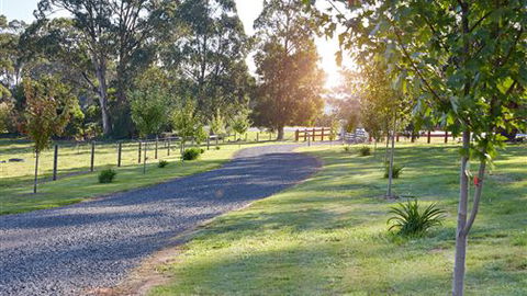 Neerim Chateau - Accommodation Mt Buller 6