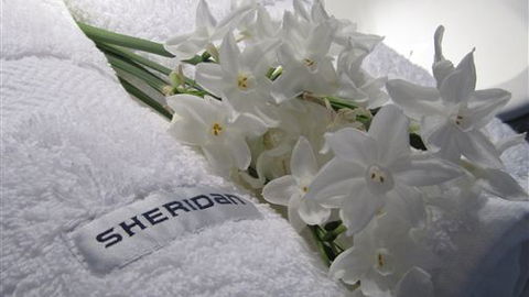 Maydays - Accommodation Mt Buller 1