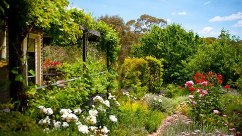 Kookaburra Ridge - Accommodation Mt Buller 3