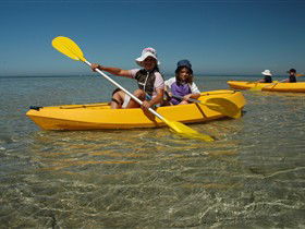 Ceduna Shelly Beach Caravan Park And Beachfront Villas - Accommodation Mt Buller 3