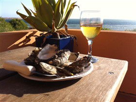 Ceduna Shelly Beach Caravan Park And Beachfront Villas - Accommodation Mt Buller 4