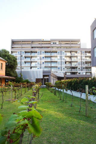 B7 Honeysuckle Apartments - Accommodation Mt Buller 1
