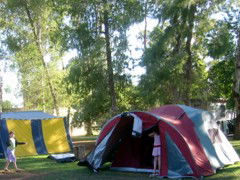BIG4 Forbes Holiday Park - Accommodation Mt Buller 2