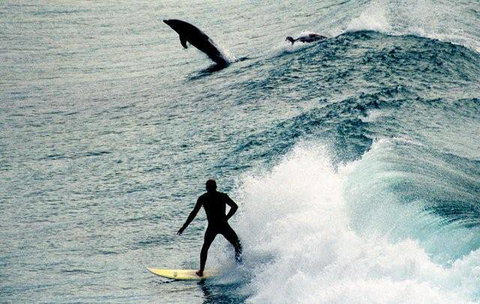 Club Yamba Luxury Hilltop Villas - Accommodation Mt buller 8