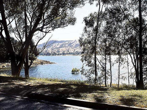 Ibis Styles Albury Lake Hume Resort - Accommodation Mt Buller 1