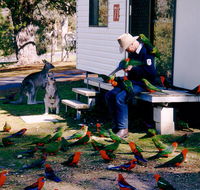 Inland Waters Holiday Parks Burrinjuck - Accommodation Mt Buller