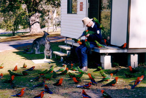Inland Waters Holiday Parks Burrinjuck - Accommodation Mt Buller 0