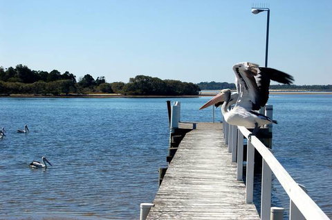Moby Dick Waterfront Motel - Accommodation Mt buller 4