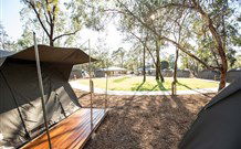 Billabong Camp, Taronga Western Plains Zoo, Dubbo - Accommodation Mt Buller 1