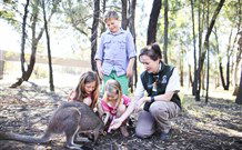 Billabong Camp, Taronga Western Plains Zoo, Dubbo - Accommodation Mt Buller 5