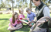 Billabong Camp, Taronga Western Plains Zoo, Dubbo - Accommodation Mt Buller 4