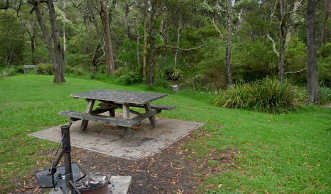 Chaelundi Campground - Accommodation Mt buller 0