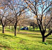 Wellington Caves Caravan Park - Accommodation Mt Buller