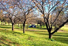 Wellington Caves Caravan Park - Accommodation Mt Buller 0