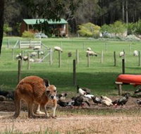 Diamond Forest Cottages and Farm Stay - Accommodation Mt buller