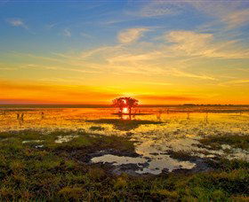 Wildman Wilderness Lodge - Accommodation Mt Buller 2