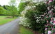 Laurel Hill Forest Lodge - thumb 2