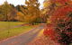 Laurel Hill Forest Lodge - thumb 4