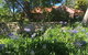 Lemon Peel House - thumb 0