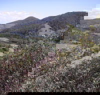Blackbird Flat Camping Ground - Accommodation Mt Buller