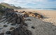 Racecourse Campground - thumb 1
