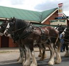 Araluen Valley Hotel - Araluen - Accommodation Mt Buller