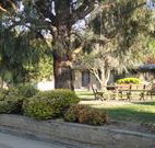 Hamilton Hume Motor Inn - Yass - Accommodation Mt Buller