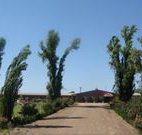 Newell Motor Inn - Narrandera - Accommodation Mt Buller