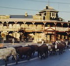 The Commercial Hotel Coonamble - Coonamble