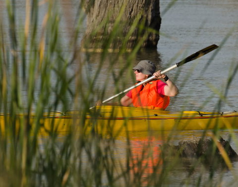 Kingston On Murray Caravan Park - Accommodation Mt Buller 4