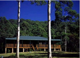 Dungog NSW Accommodation Mt Buller