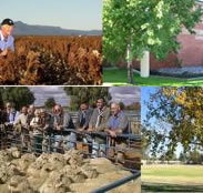 Southern Cross Motor Inn