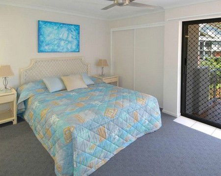 Pandanus Coolum Beach - Accommodation Mt Buller 2