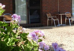 Toukley Motel - Accommodation Mt Buller 3