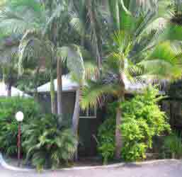 Nambour Rainforest Holiday Village - Accommodation Mt Buller 1