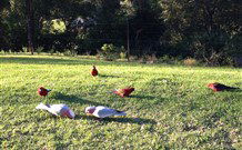 Eaglewood B And B And Farmstay - Accommodation Mt Buller 3