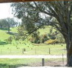 Hosanna Farm Retreat - Accommodation Mt Buller
