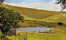 Sanctuary Hill Retreat - Accommodation Mt buller 0