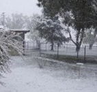 Tirrintippin - Accommodation Mt Buller