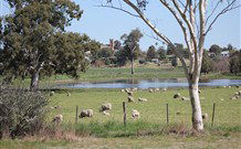 Yamba Farmstay - Accommodation Mt Buller 5