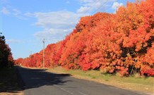 Yamba Farmstay - Accommodation Mt Buller 4