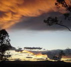 Silkwood B and B - Accommodation Mt Buller