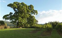 Silos Estate - - Accommodation Mt Buller 1