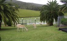 Sunny Hill Retreat Accommodation And Day Spa - - Accommodation Mt Buller 6